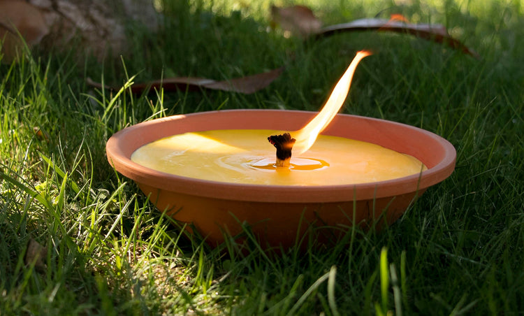 Citronella e giardino: il rituale delle sere d’estate