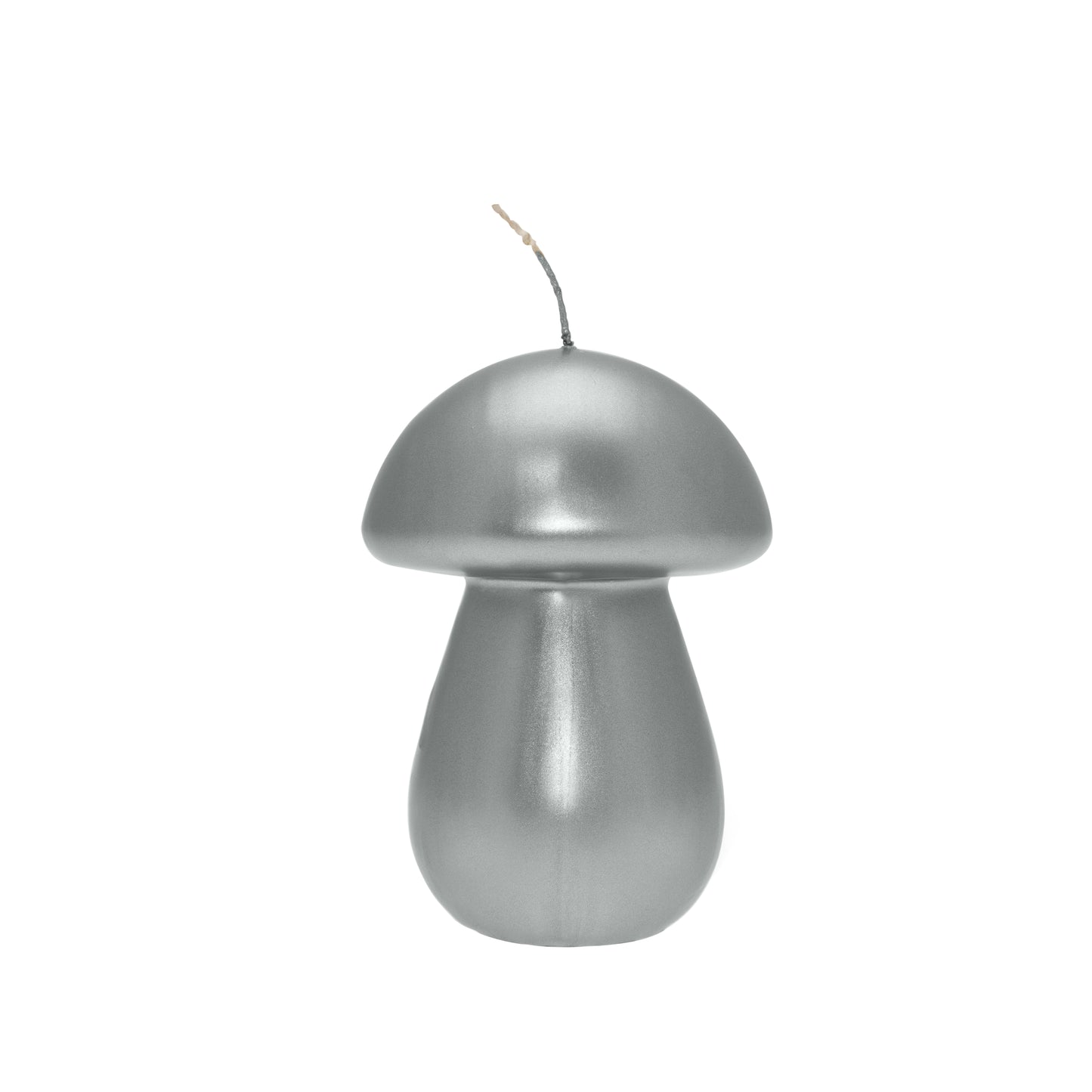 CERALACCA METALLO FUNGO H13