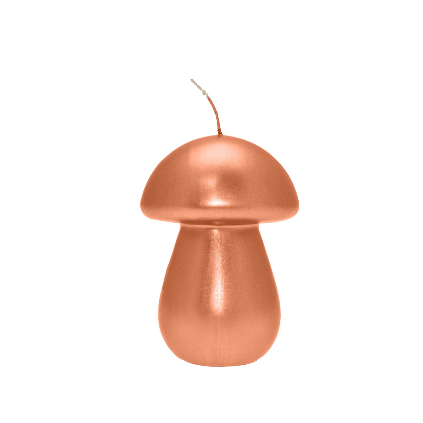 CERALACCA METALLO FUNGO H13