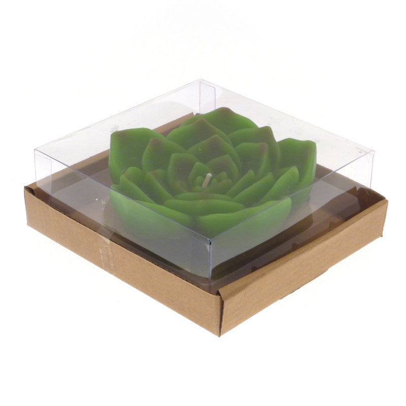 CANDELA CACTUS GALLEGGIANTE