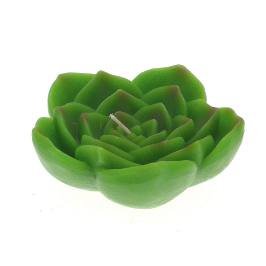 CANDELA CACTUS GALLEGGIANTE